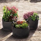  These baskets are so practical (and so inexpensive) that it&rsquo;s best to have 
several of them.