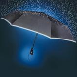 Oversize Pocket Umbrella Opens up and folds down &ndash; all at the touch of a button.