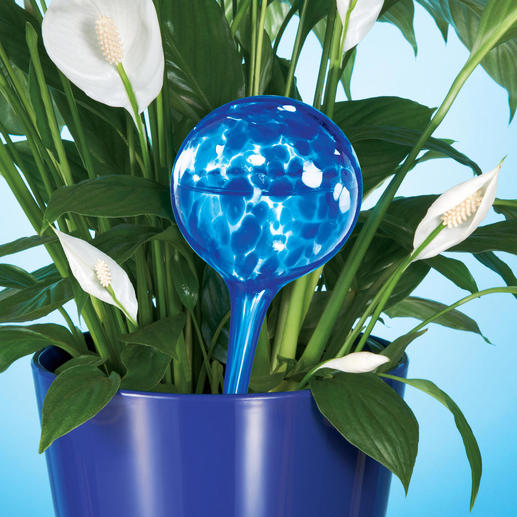 Watering Spheres, Set of 4 Keeps your plants watered for up to 10 days. Just stick it into the planter. Set of 4.