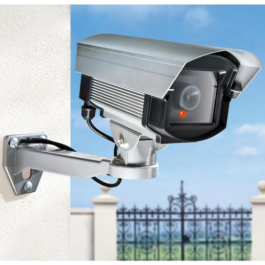 Mock Camera Inexpensive deterrent: The decoy with a flashing light.