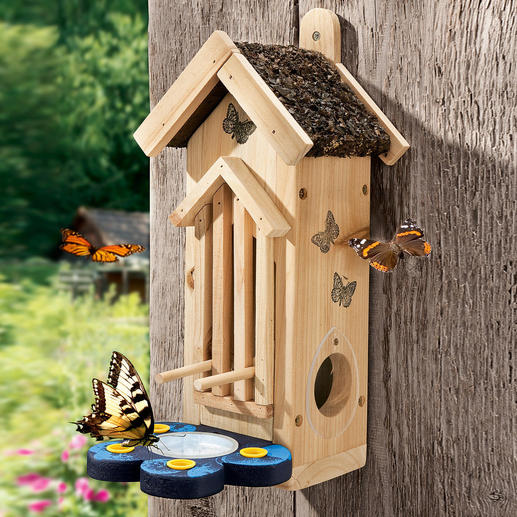 Butterfly Habitat An attractive habitat where colourful butterflies can nest & rest.