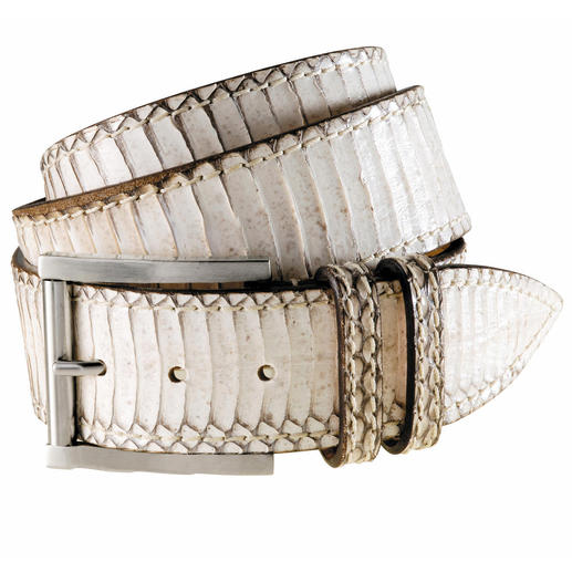 Cobra Belt By Andrea Zori/Italy.