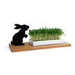 Elk Biscuit Tray or Rabbit Cress Tray