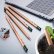 Sustainable Plant Pencils, Set of 5