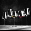 Wine Glasses Vision, Set of 2
