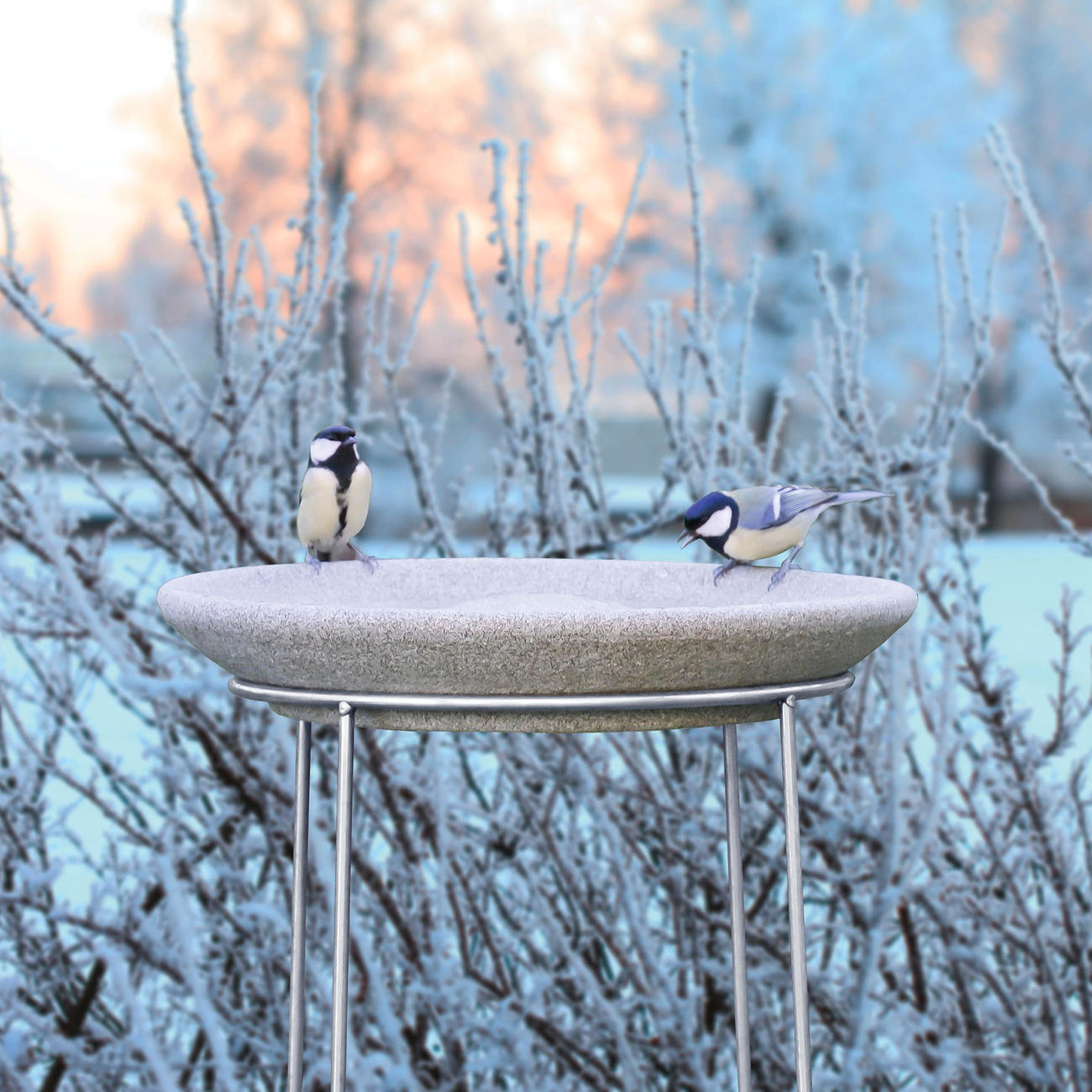 buy granicium 174 bird bath with stainless steel stand buy granicium 174 bird bath with stainless steel stand