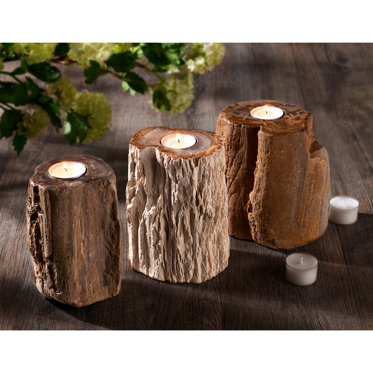 Buy Fossilised Wood Tealight Holder online