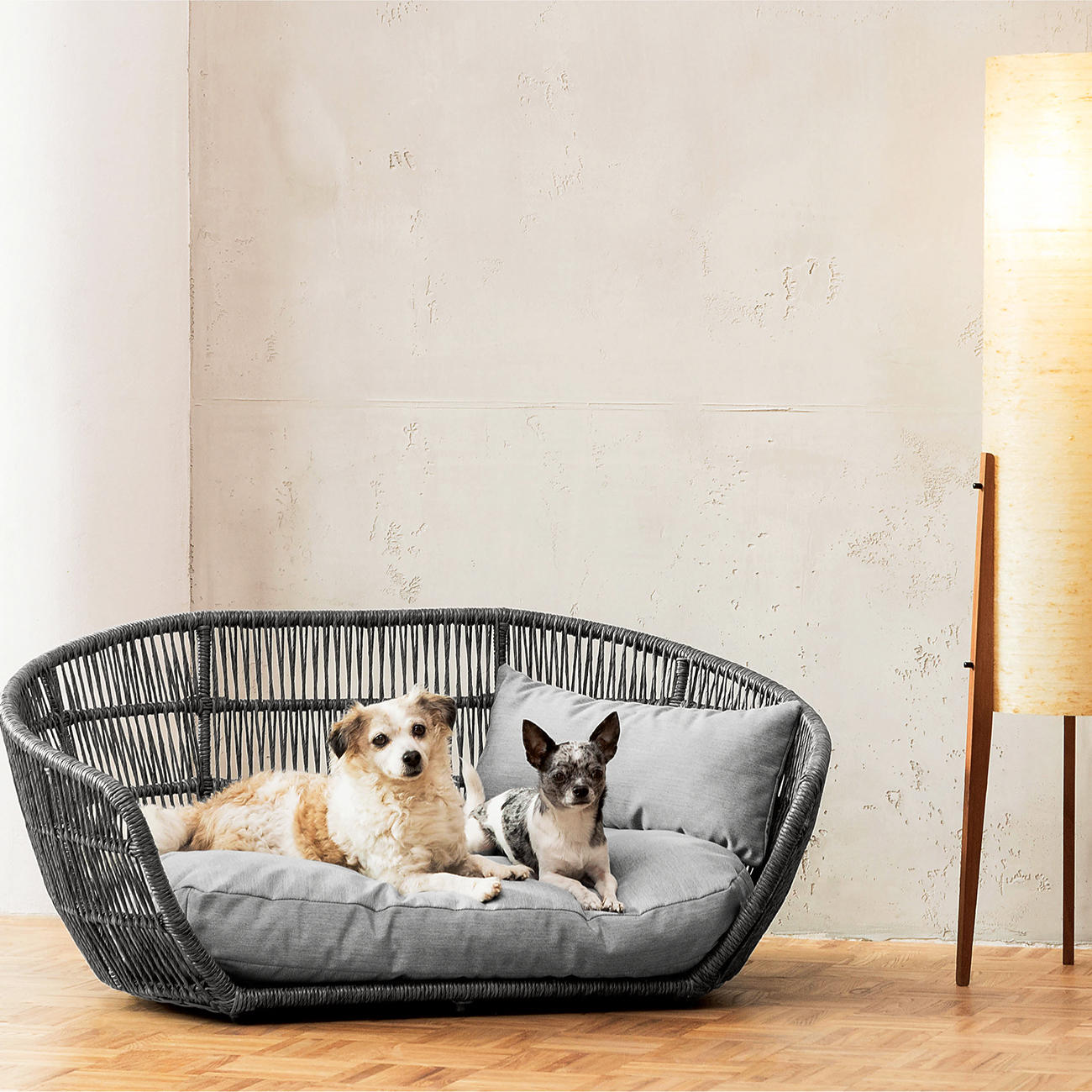 Design Dog Bed | 3-year product guarantee