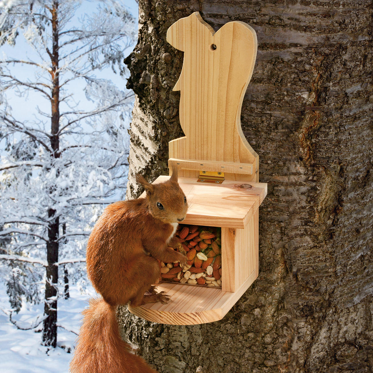 catapult squirrel feeder