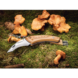 Maserin Mushroom Knife The foldable mushroom knife. Handle made from stylish, extremely resistant olive wood. Ergonomic design.