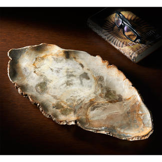 Serving Platter “Fossil Wood” Unique serving platter made from petrified wood, 20 million years old.