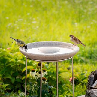 Granicium® Bird Bath with Stainless Steel Stand Modern design. The 19.7" high stainless steel stand deters cats and other predators. UV and weather resistant.