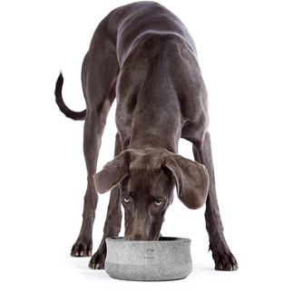 “Rocky” Soapstone Pet Bowl Pure nature in an award-winning design. Hand-crafted from solid stone - no two are alike.