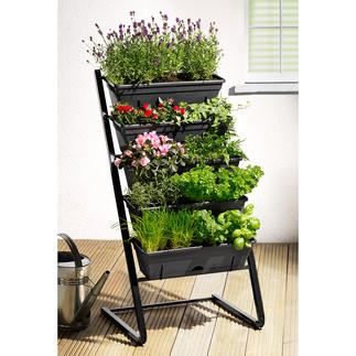 Plant Stand Abundant green, beautiful flowers and a rich harvest: Space-saving on five levels.