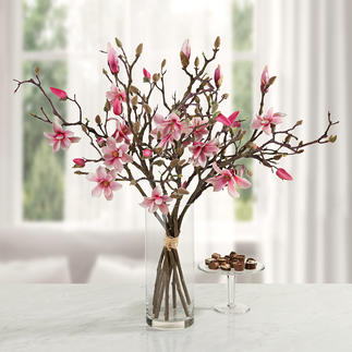Magnolia Bouquet Everlasting beauty: Seven twigs make a fine bundle – as elegant as naturally grown.