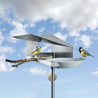 Design Bird Feeder Protects the feed from rain and fills up the birdbath at the same time.