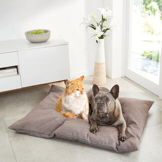 Swiss Stone Pine Pet Cushion Wellness for four-legged friends: Cosy cushion bed with sheep’s wool and natural Swiss stone pine.