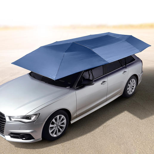 Portable Car Sunshade 3year product guarantee