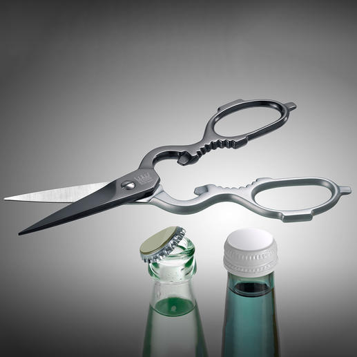 Self-sharpening Household Scissors Household scissors to last a lifetime: Ingeniously self-sharpening – following nature’s example.