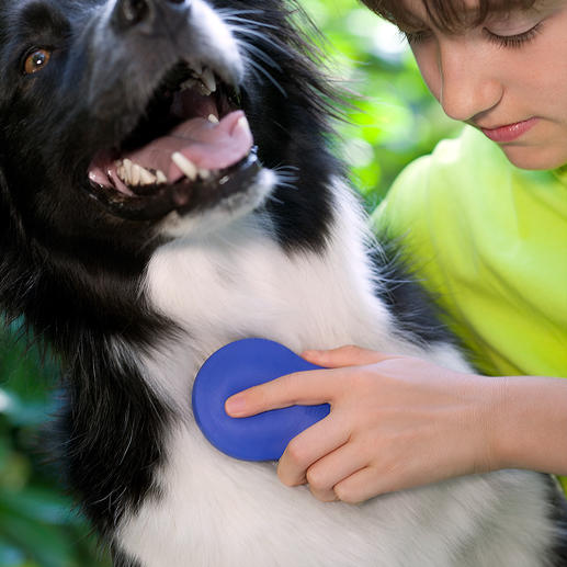 Zilopet Care Brush For Animals Gentle grooming for your pet – in a natural way.