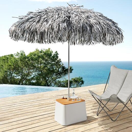 Fringed Parasol Spectacular focal point in the garden, on the terrace, by the pool, ...