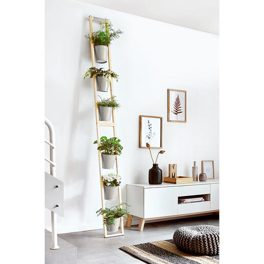Plant Ladder Convenient and space-saving: Your lush Garden of Eden in the smallest of spaces.